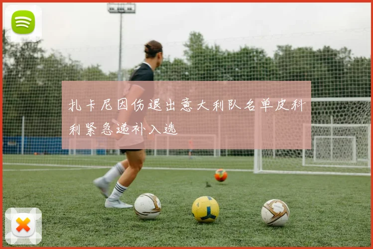 扎卡尼因伤退出意大利队名单皮科利紧急递补入选