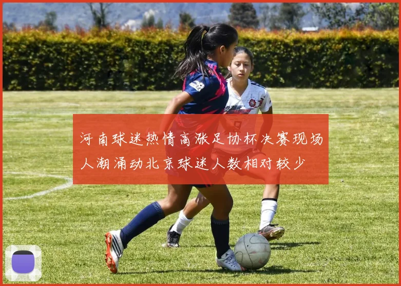 河南球迷热情高涨足协杯决赛现场人潮涌动北京球迷人数相对较少